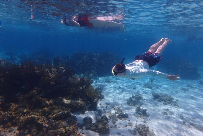 Private Tour to Stingray City & Snorkeling at Coral Gardens - Two hours at Stingray City