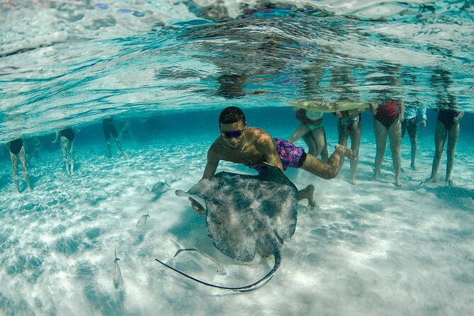 Private Yacht 48 ft Sting Ray City, Snorkel & Starfish Beach - Food, drinks, and onboard comfort
