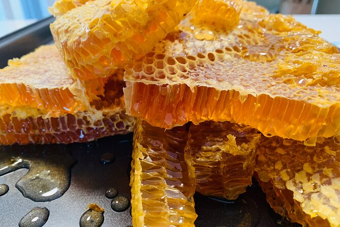 Reagan’s Honey Beekeeping Adventure - Putting on the protective suit
