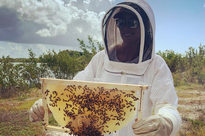 Reagan’s Honey Beekeeping Adventure - Walking through the hives and woodland