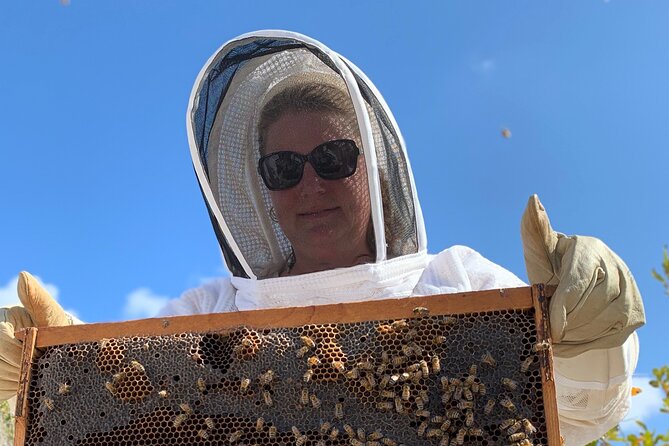 Reagan’s Honey Beekeeping Adventure - Opening an active hive