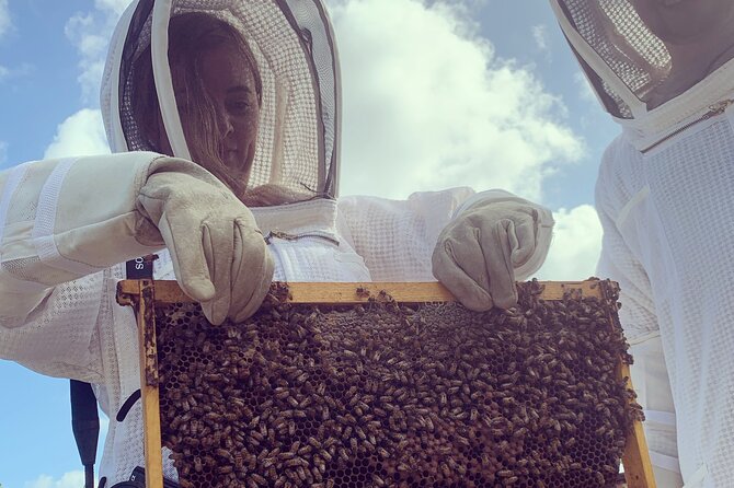 Reagan’s Honey Beekeeping Adventure - Tasting honey straight from the comb