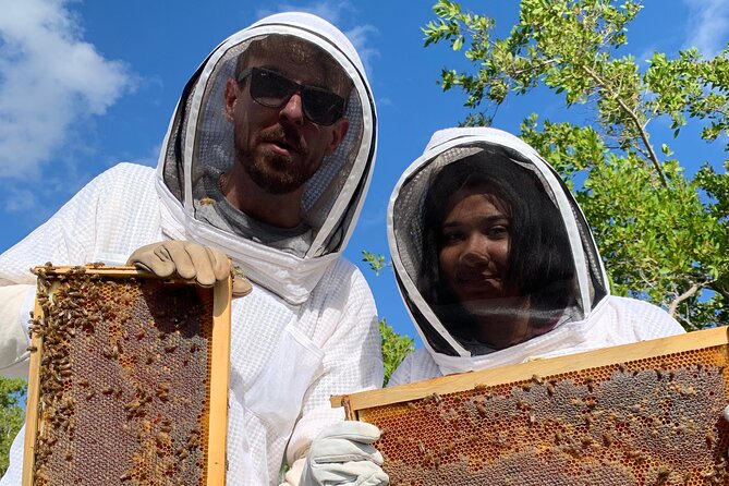 Reagan’s Honey Beekeeping Adventure - Is $66.67 a fair price?