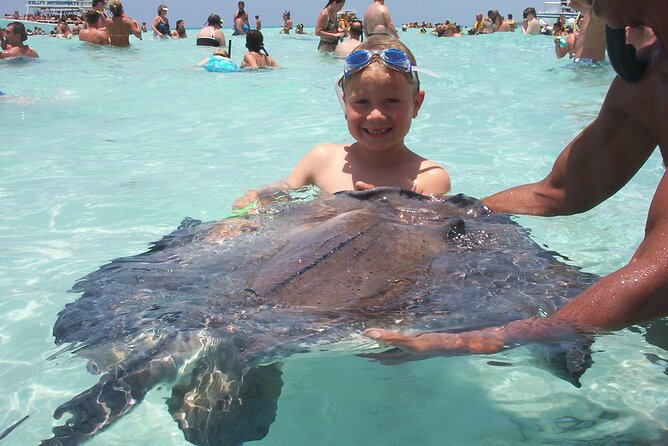 Small Group 7 Mile Beach Stingray City and Coral Gardens Tour - How weather and sea conditions shape the day