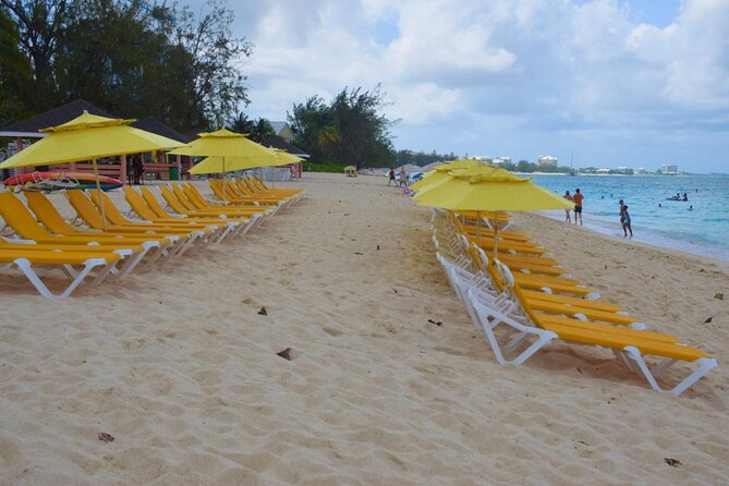 Small Group 7 Mile Beach Stingray City and Coral Gardens Tour - Starting from George Town at 10:00 a.m.