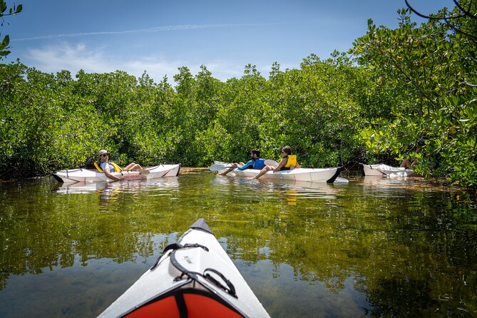 Small Group Glass Bottom Kayak Adventure- Cayman Islands - Why the glass bottom changes a simple kayak trip