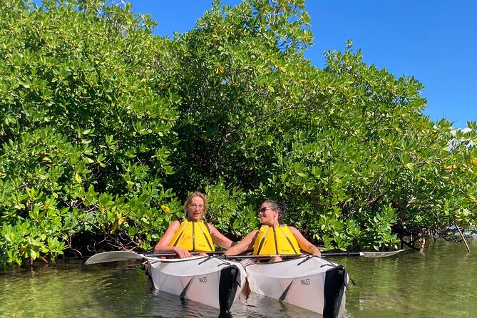 Small Group Glass Bottom Kayak Adventure- Cayman Islands - What the naturalist commentary adds