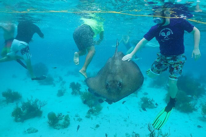 Starfish Point, Stingray City & Coral Garden (3-STOP Adventure) - Why this three-stop format works on Grand Cayman