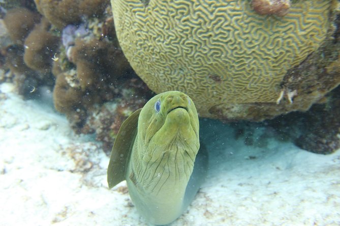 Starfish Point, Stingray City-Sandbar & Coral Gardens - The boat ride is part of the experience