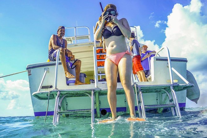 Starfish Point, Stingray City-Sandbar & Coral Gardens - The $65 price offers solid value for a short port day
