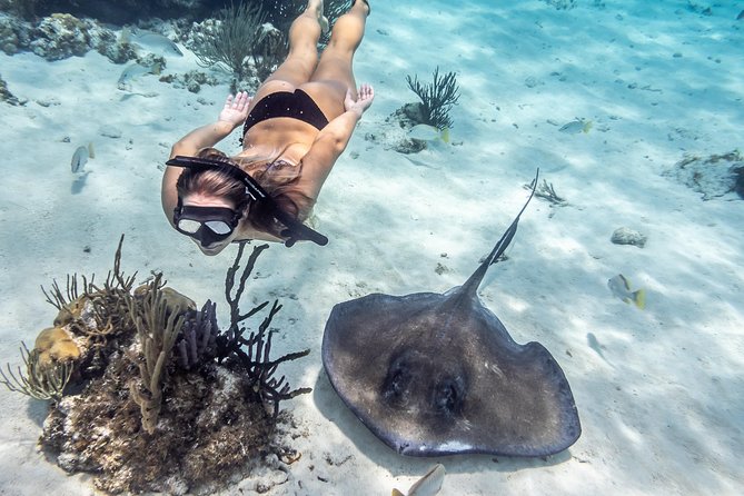 Starfish Point, Stingray City-Sandbar & Coral Gardens - Families, solo visitors, and first-time snorkelers