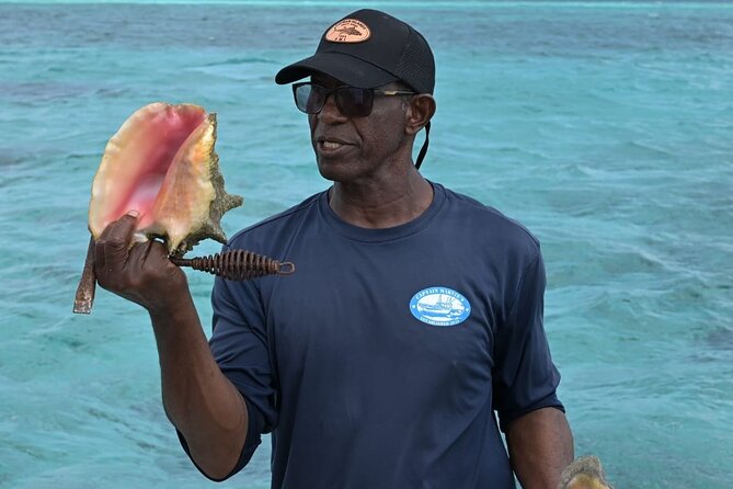 Stingray City and Snorkel Tour With Lunch - Who will enjoy this tour most?