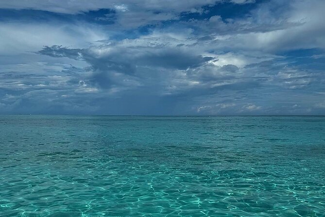 Stingray City and Snorkeling Private Charter - Why a private Stingray City boat changes the day
