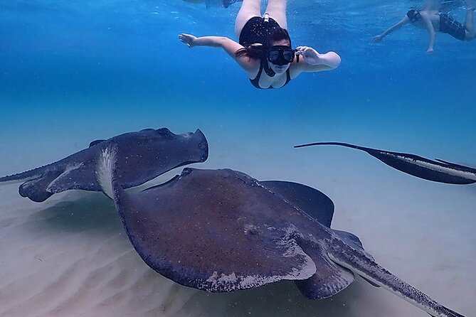 Stingray City and Starfish Experience with Coral Reef Snorkeling - The crew, boat, and group size