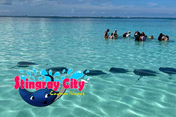 Stingray City and Starfish Experience with Coral Reef Snorkeling - Who will get the most from the $65 price