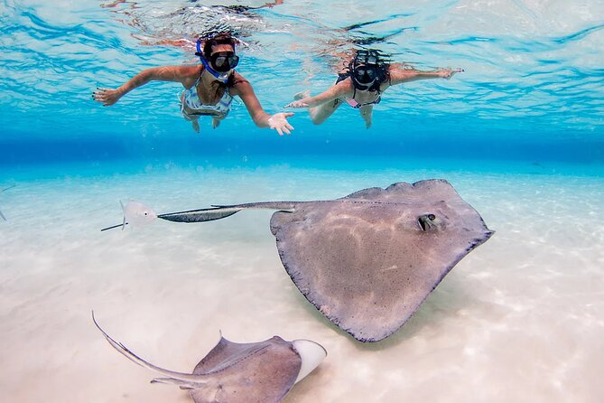 Stingray City and Starfish Experience with Coral Reef Snorkeling - The main drawback: a fast-moving schedule