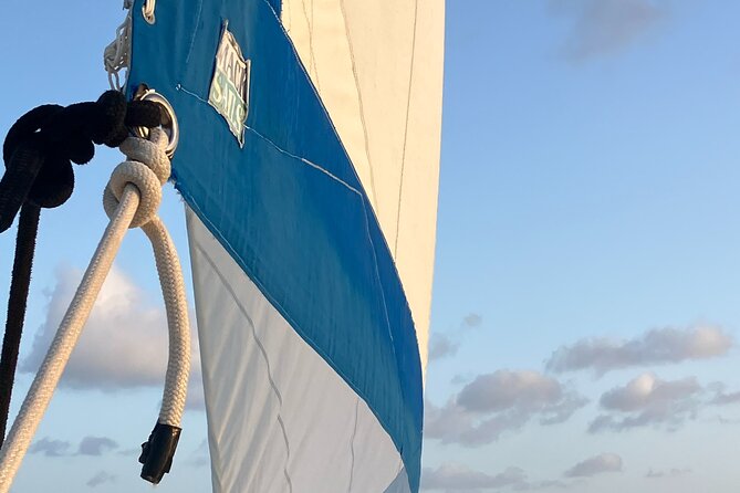 Stingray City Catamaran Sunset Tour - Is $59 a fair price?