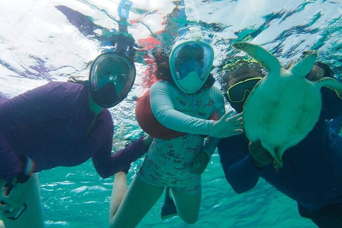 Stingray City Experience Plus One Snorkeling Stop - Who will enjoy this most