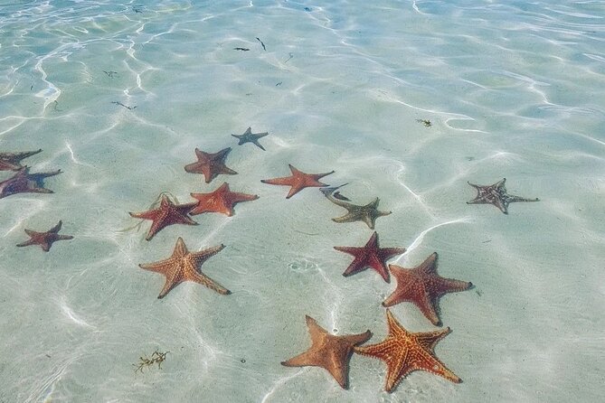Stingray City Experience Plus Two Snorkeling spots Private Boat - Rum Point for reef swimming and a break