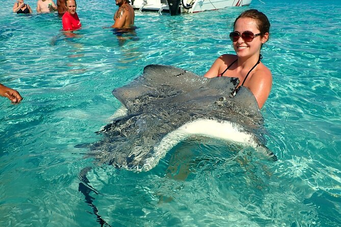 Stingray City Experience Plus Two Snorkeling Stops on Grand Cayman - Why Stingray City is the main event