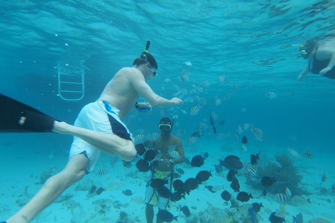 Stingray City Experience Plus Two Snorkeling Stops on Grand Cayman - A three-hour plan that uses time well