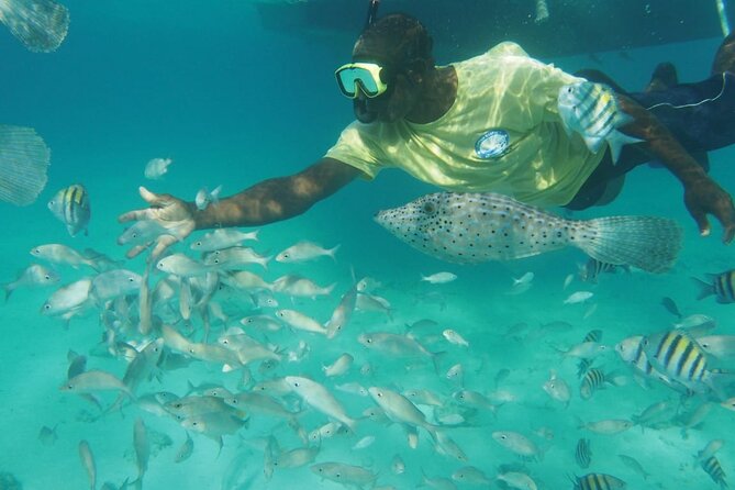 Stingray City Experience Plus Two Snorkeling Stops on Grand Cayman - Boat size, crew help, and comfort