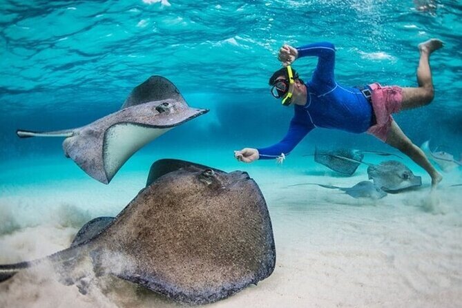 Stingray City Sandbar, Coral Gardens Snorkeling & Star Fish Point - Coral Gardens gives you a second kind of water experience