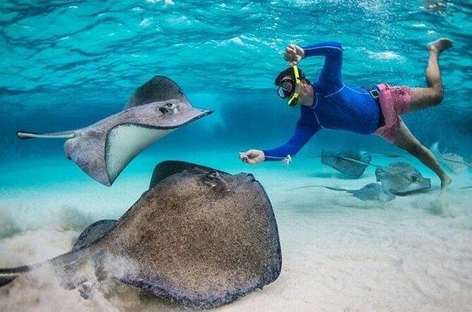 Stingray City Sandbar, Coral Gardens Snorkeling & Star Fish Point - What the $65 price really includes