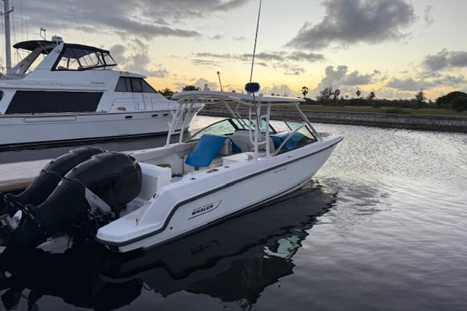 Stingray City, Star fish Point and Snorkeling Private Boat Tour - Private boat value at $725 per group