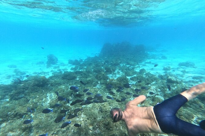 Stingray City, Star fish Point and Snorkeling Private Boat Tour - Pickup, timing, and cruise-day planning