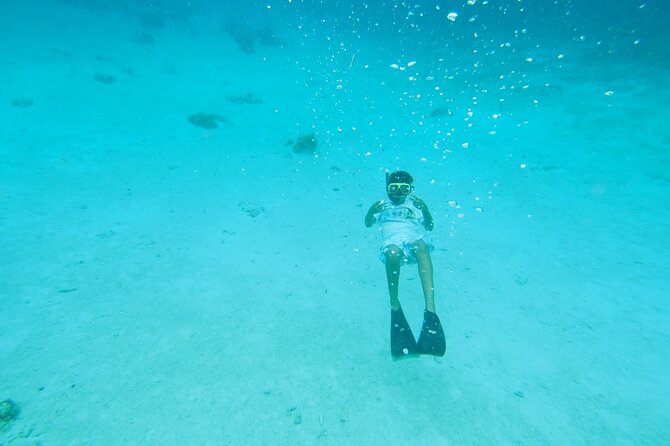 StingrayCity ,Coral Garden & Starfish Tour. - What the $69 price really buys