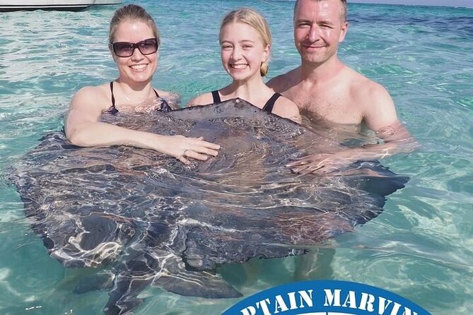 Stingrays, Starfish and Snorkeling Tour - Stingray City, the reason most people choose this trip