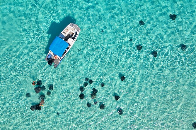 Sunrise at Stingray City, Private Tour - Key points at a glance