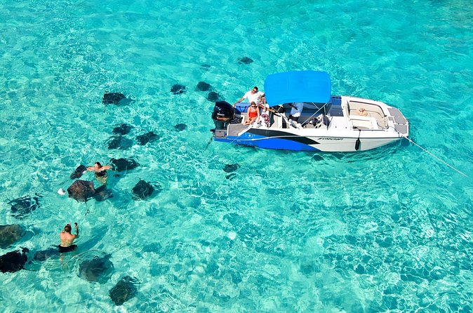 Sunrise at Stingray City, Private Tour - What the private format is worth