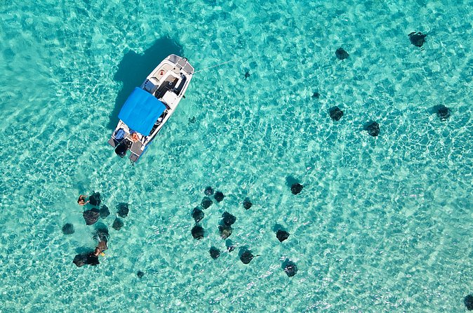 Sunrise at Stingray City, Private Tour - The captains, safety, and the feel of a local charter